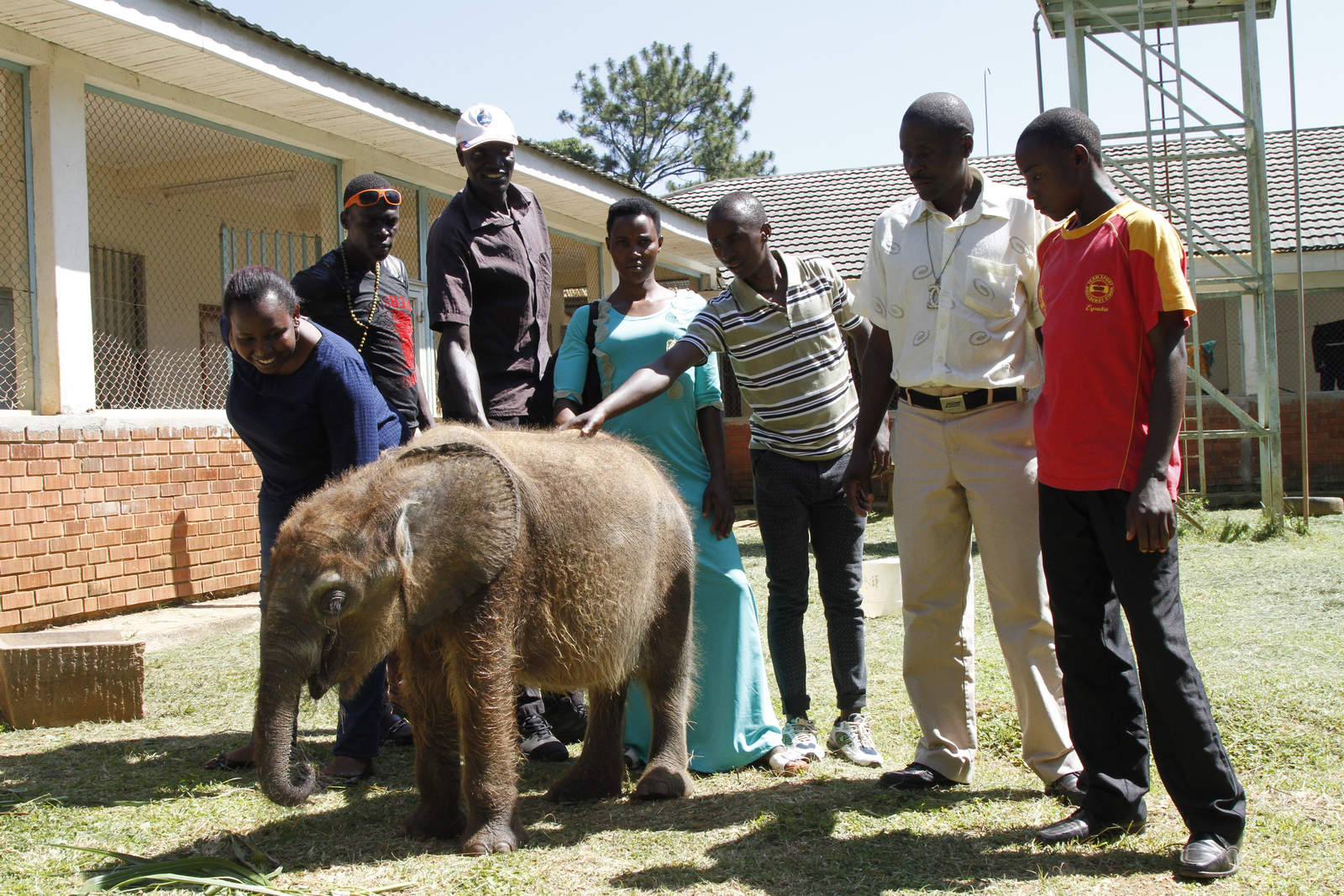 bcf guests visit the zoo.
